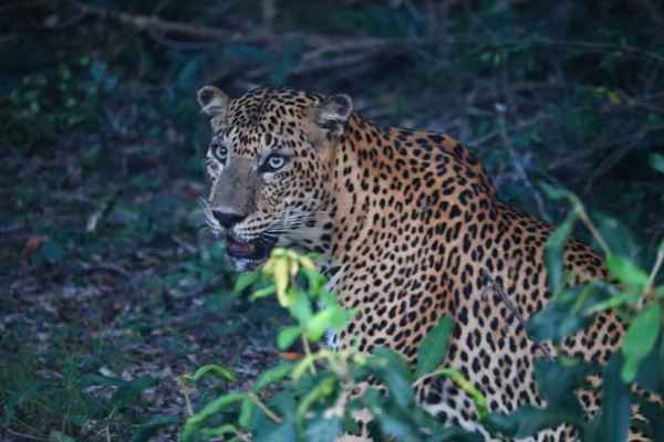 Photo from Google Places (a7524504)