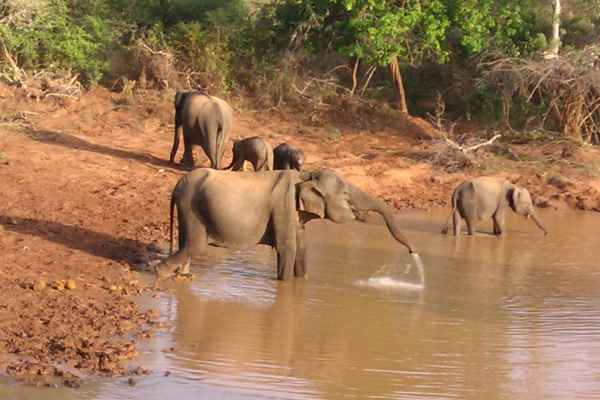 Photo from Google Places (077dd08a)