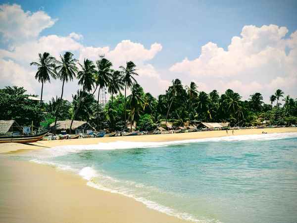 Photo from Google Places (bd232640)