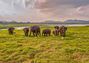 Maduru Oya National Park